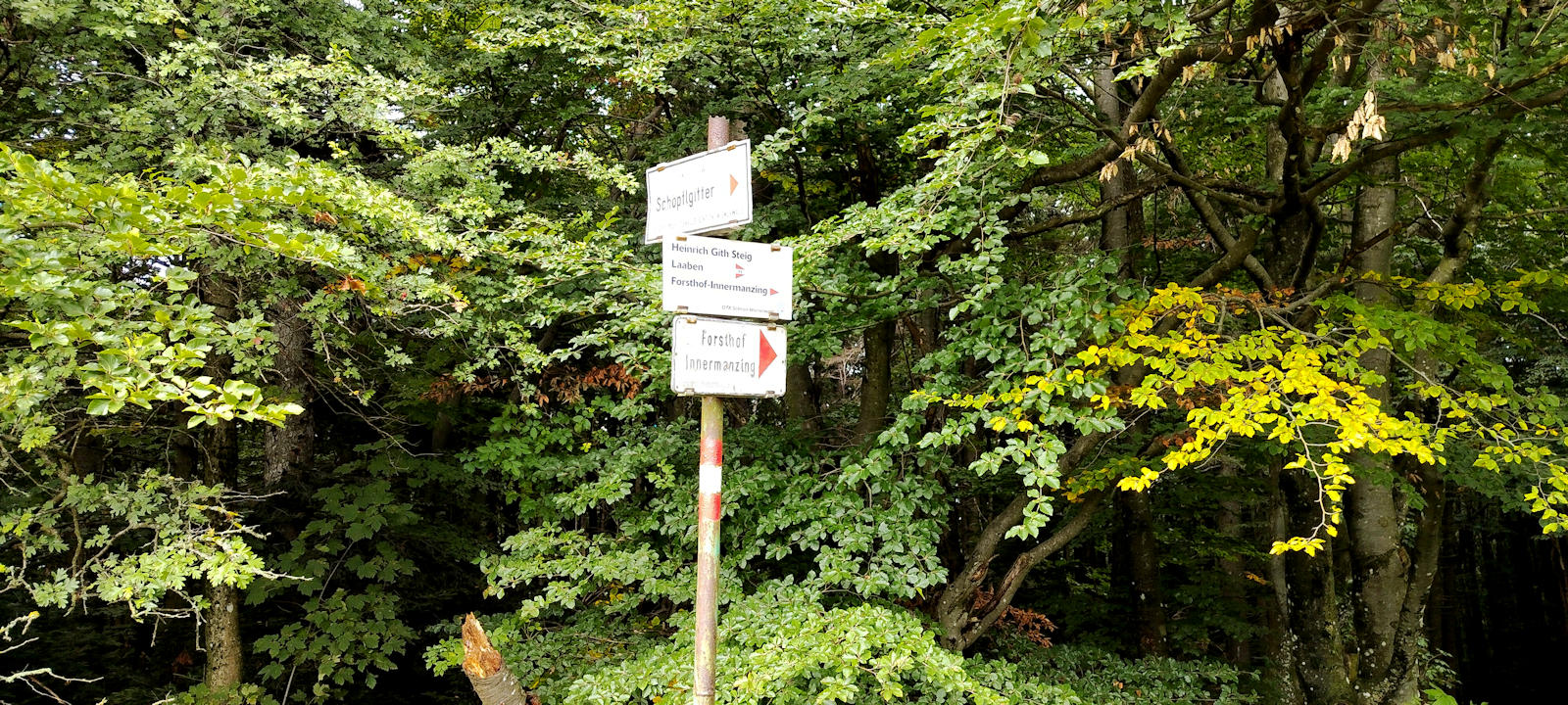 Weg