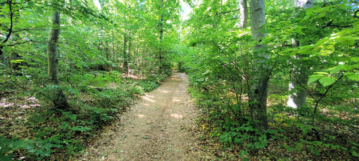 Weg