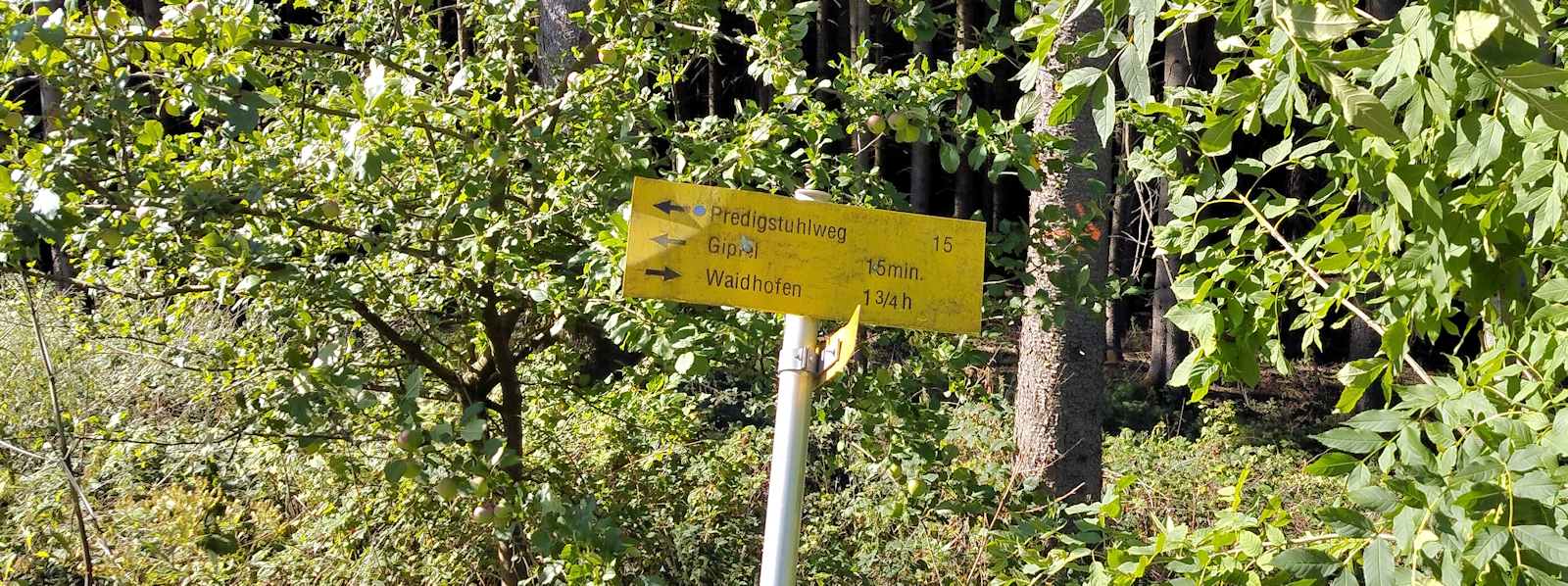 Wegweiser