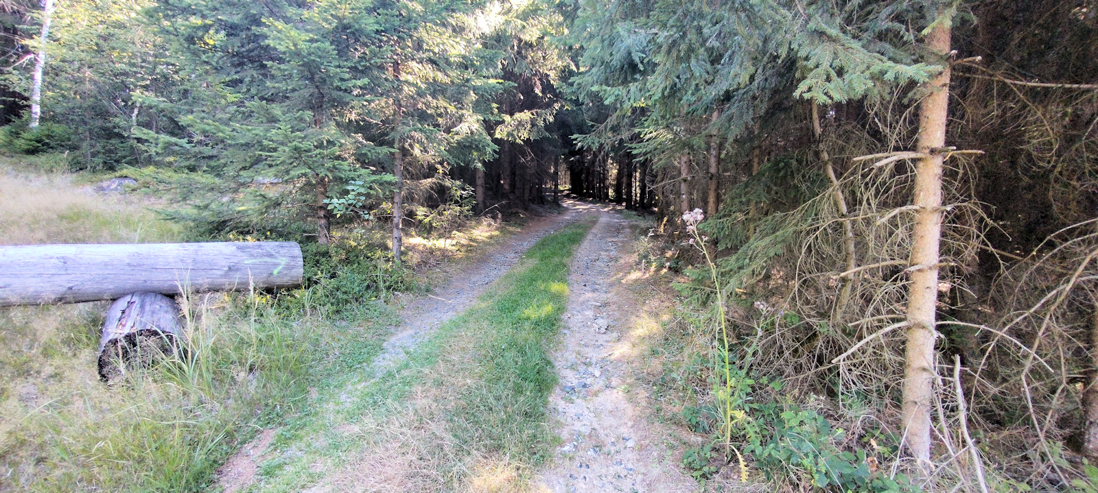 Weg