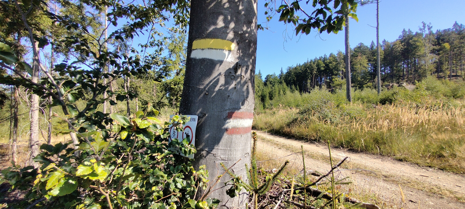 Weg