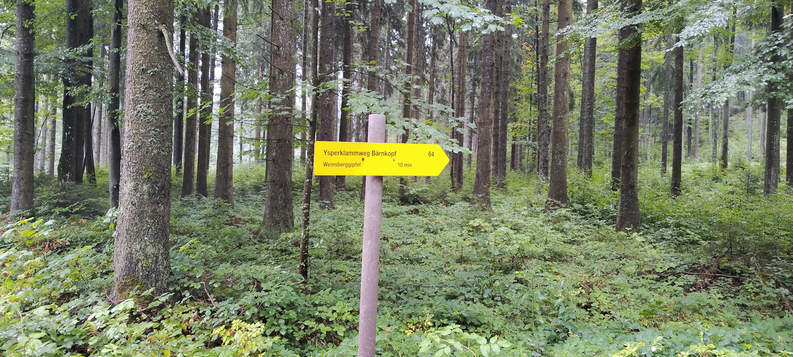 Wegweiser