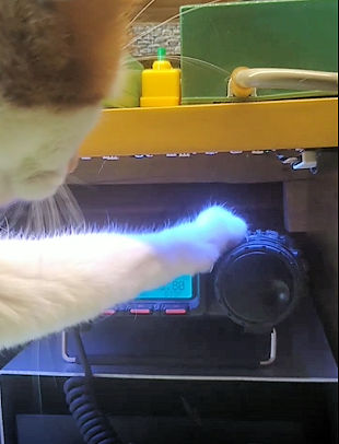 OE1MIAU 